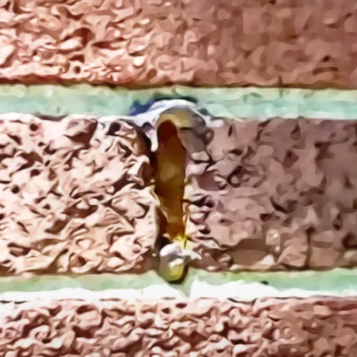 A blocked brick weep that is completely closed.