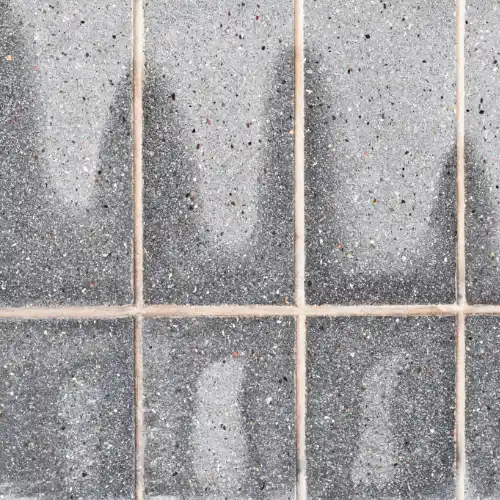 Water seeping up a brick block wall caused by capillary action.