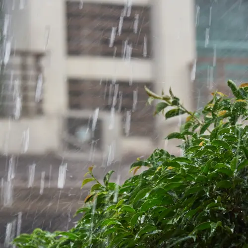 Heavy rain falling in front of a house.