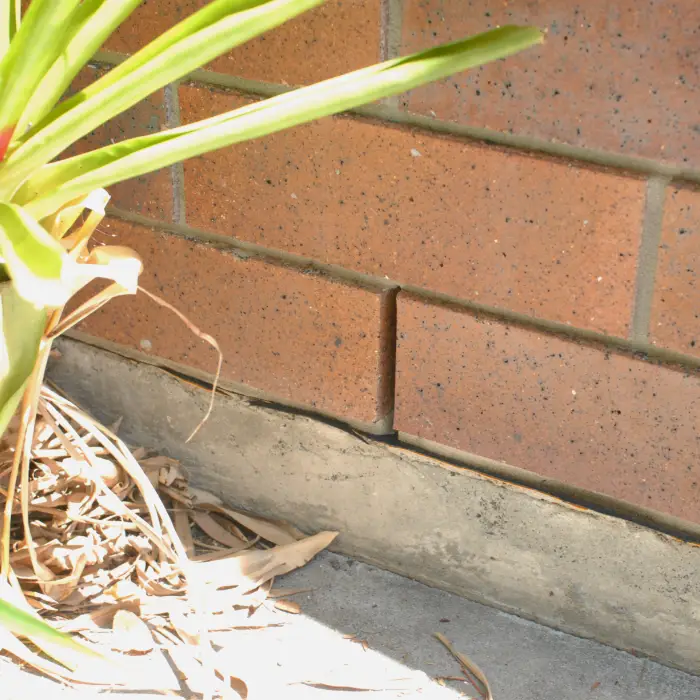 A weep hole in a brick wall just above the foundation.