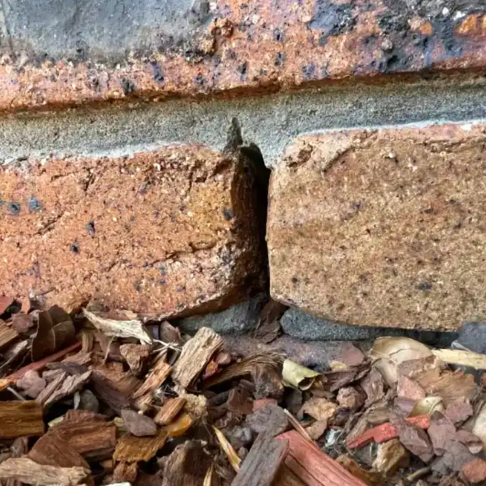 A weep hole shown near a garden bed with leaf litter and bark clogging it.